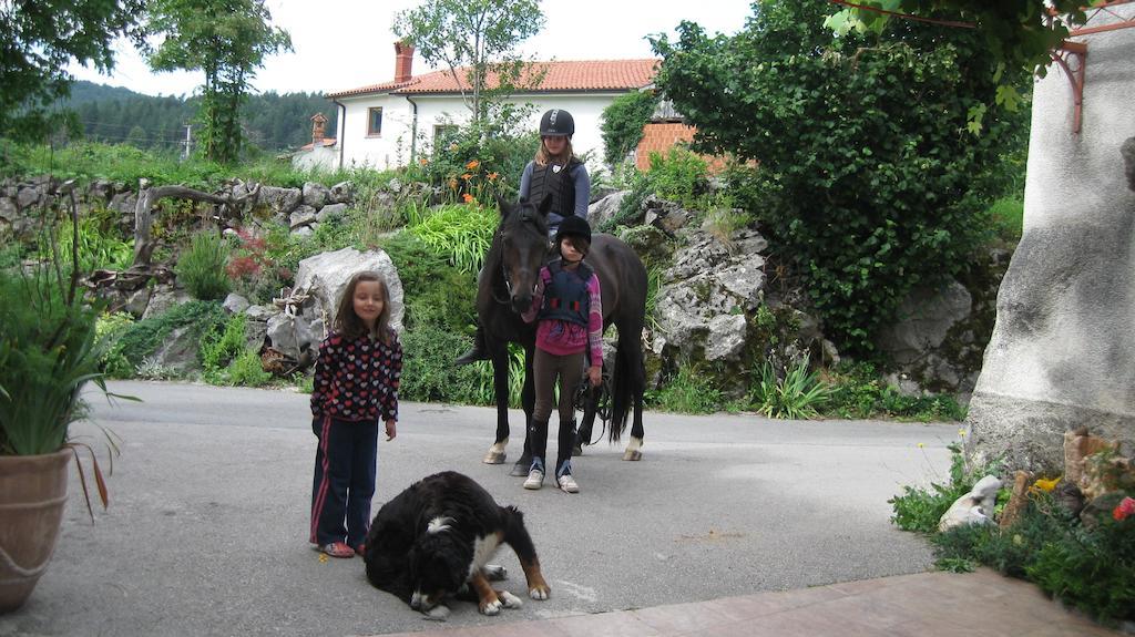 Villa Tourist Farm Dujceva Domacija à Vremski Britof Extérieur photo